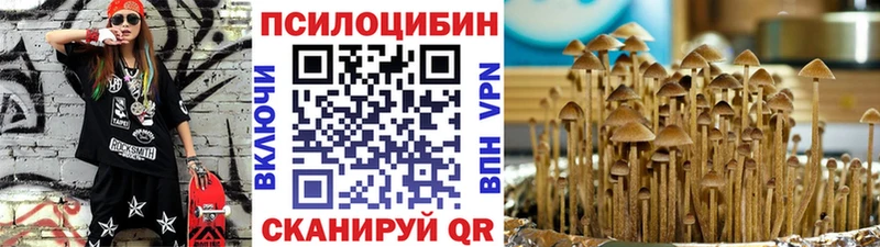 Псилоцибиновые грибы Psilocybe  Иннополис 